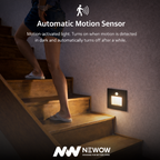 Pathfinder 3W Step Light