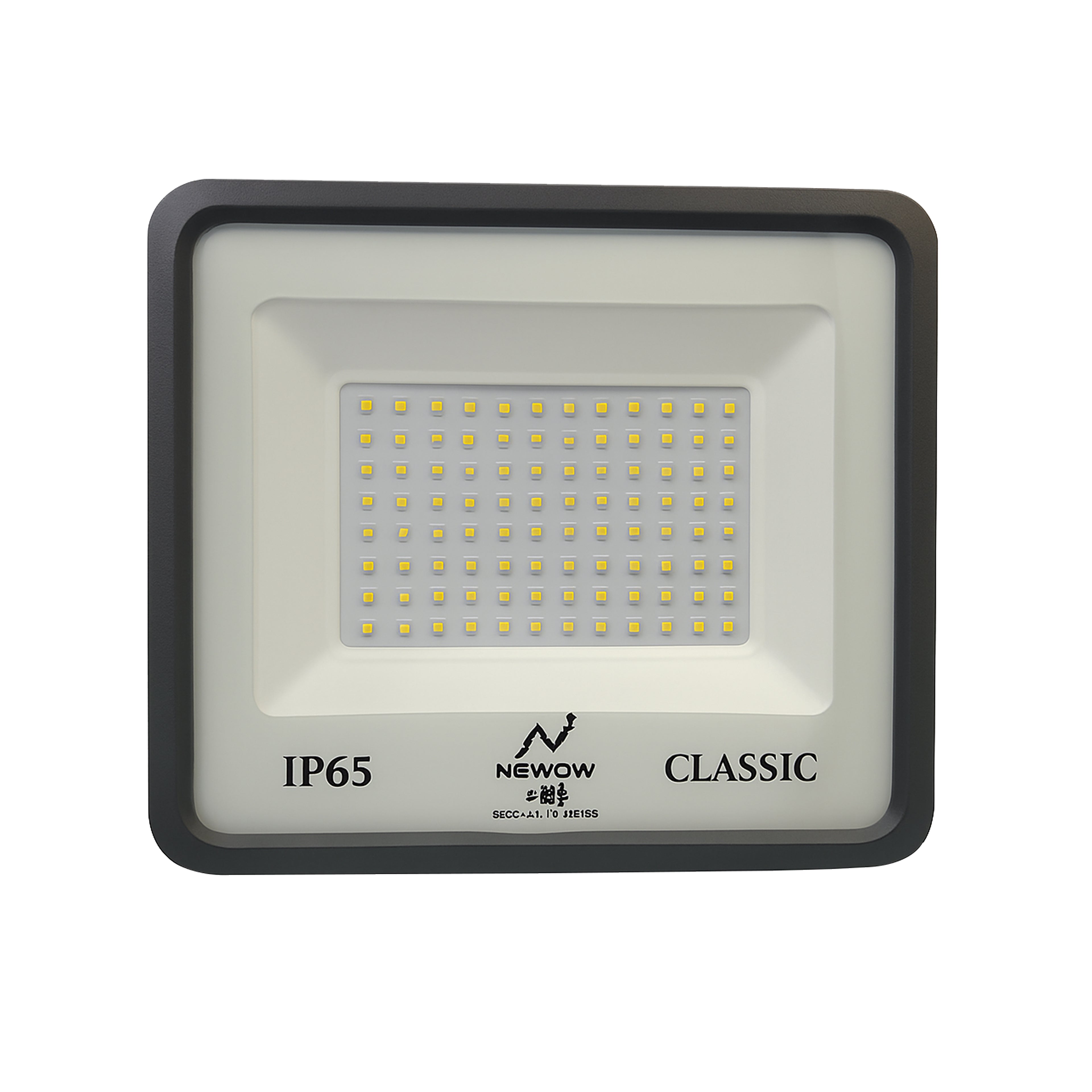 Classic LED Flood Light