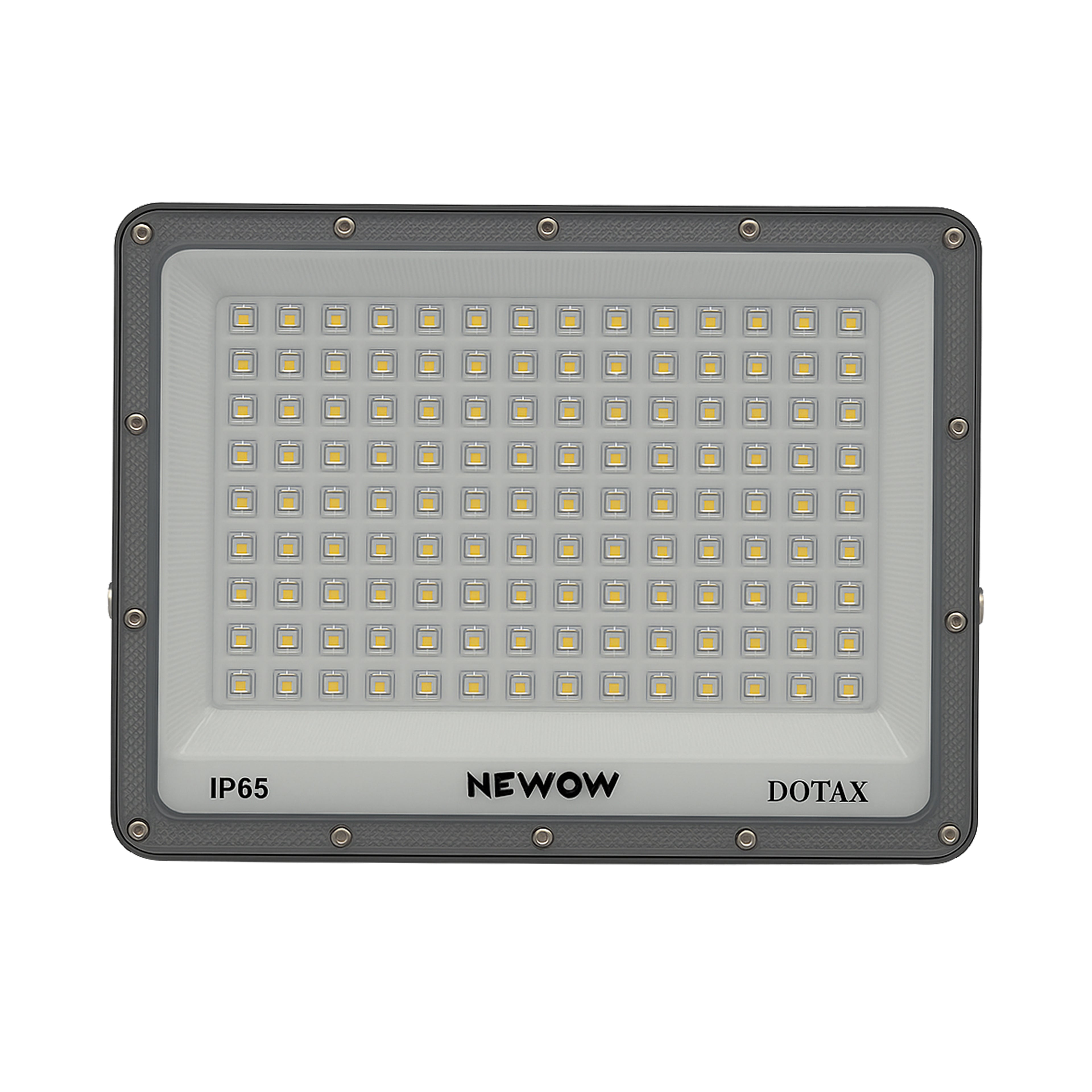 NW Dotax LED Flood Light