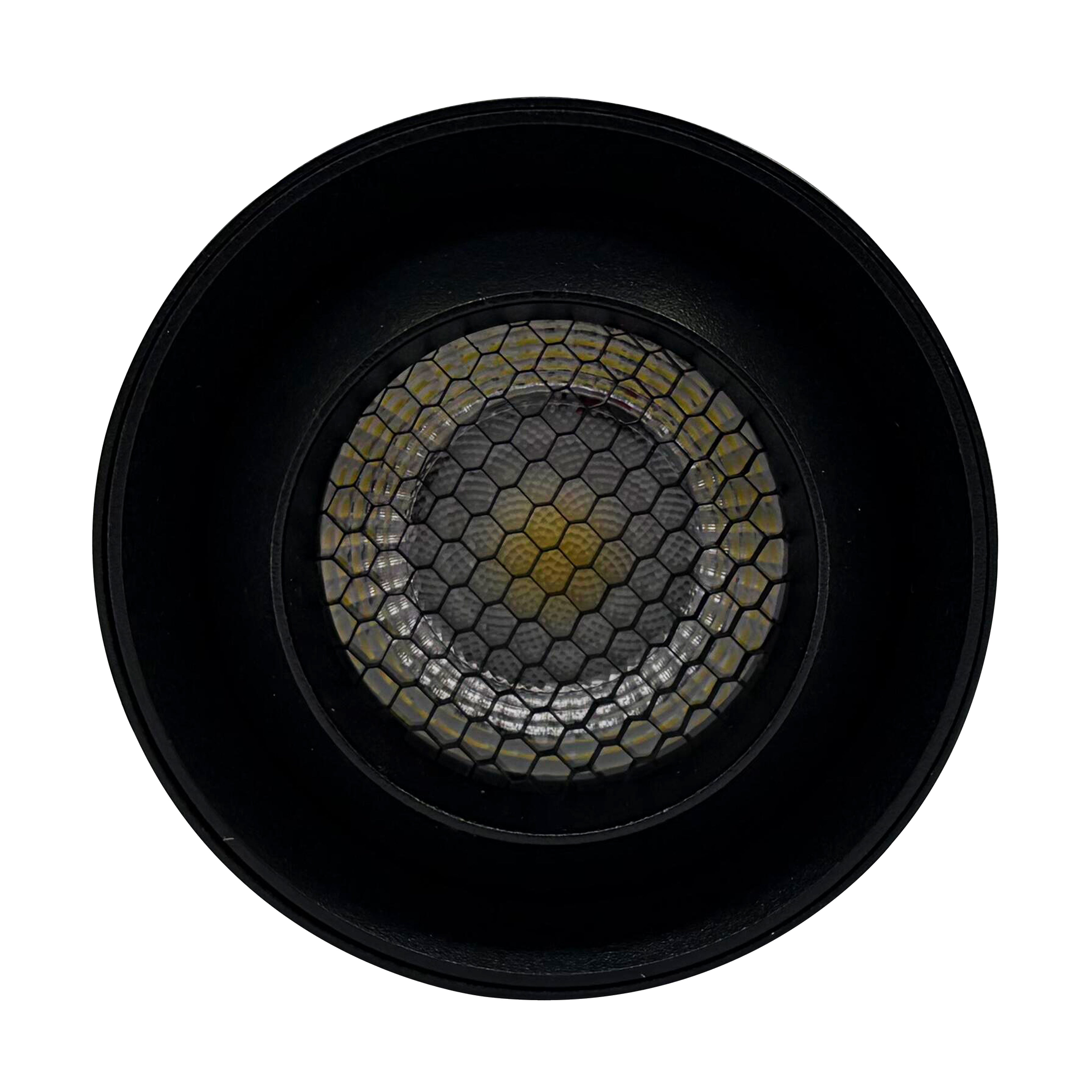 NW Argon LED Magnetic Track Light