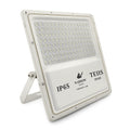 NW Tejas LED Flood Light