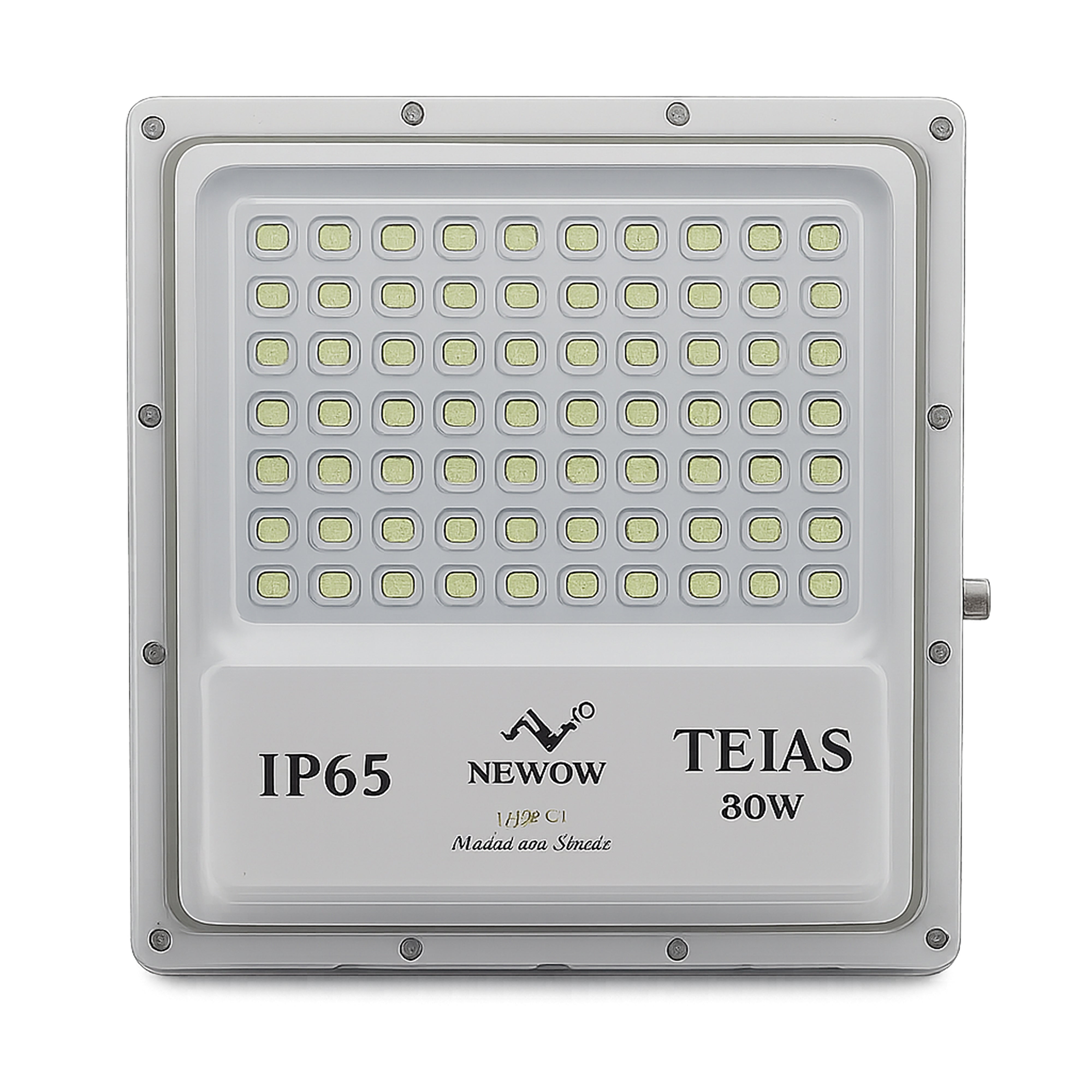 NW Tejas LED Flood Light