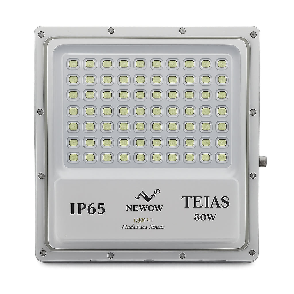 NW Tejas LED Flood Light