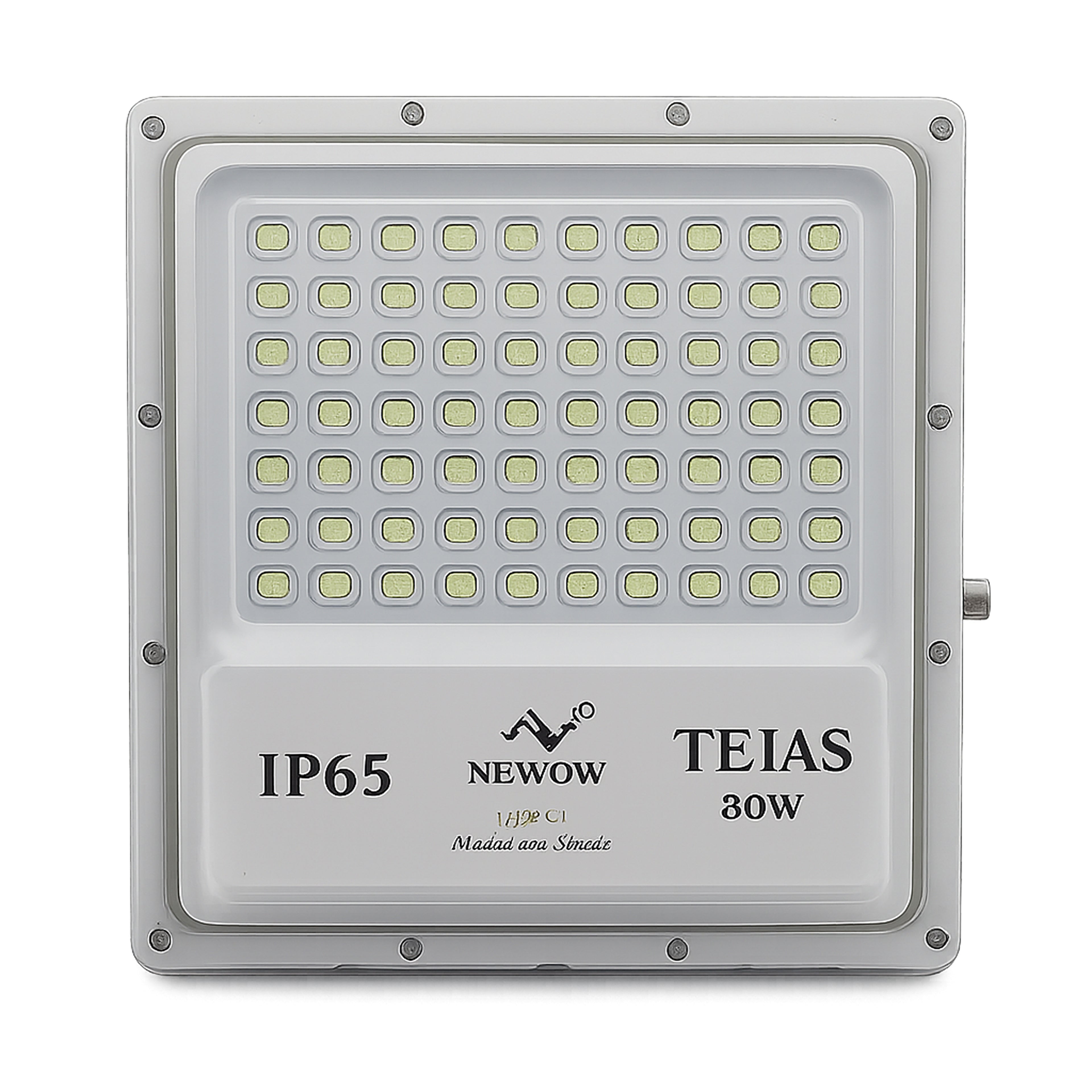 NW Tejas LED Flood Light